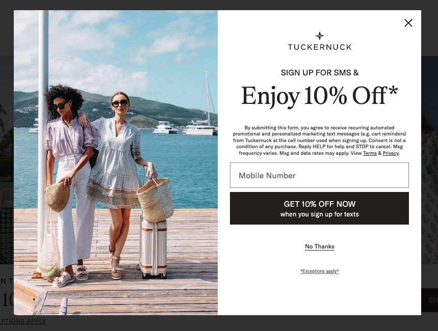 Website page load popup example by Tuckermuck