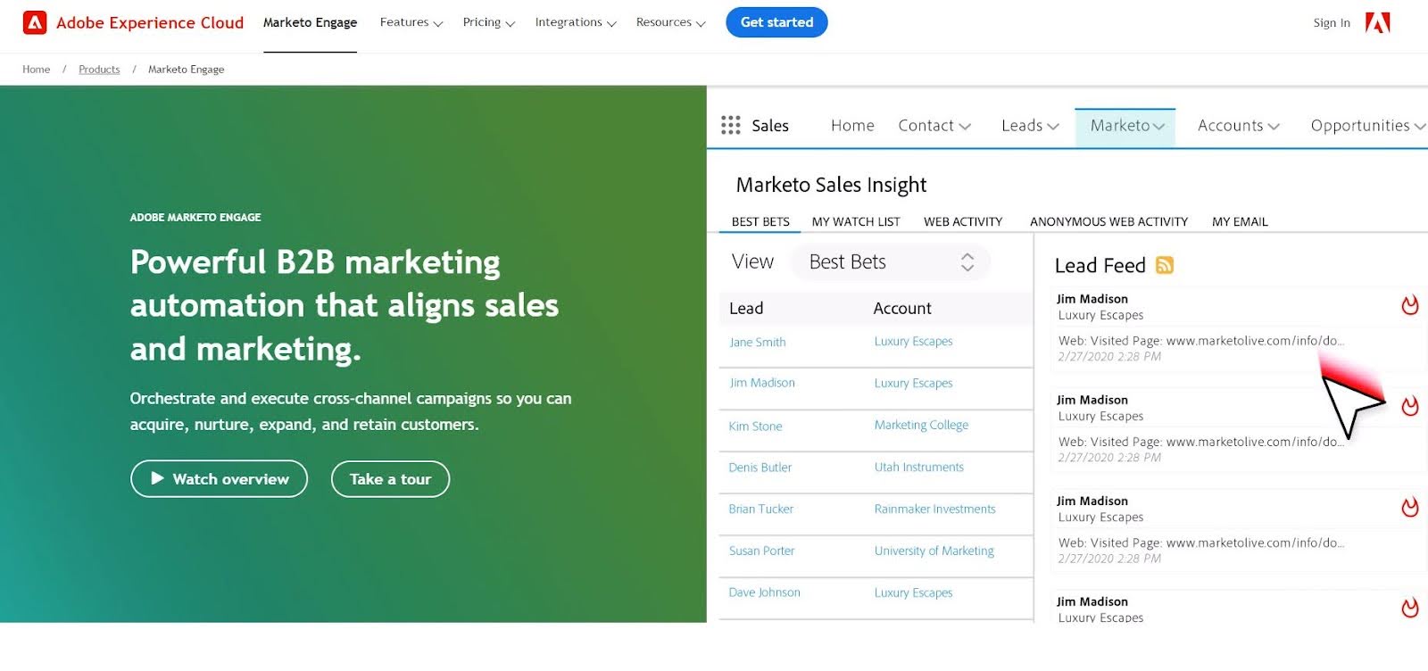 best marketing automation software: Marketo Engage