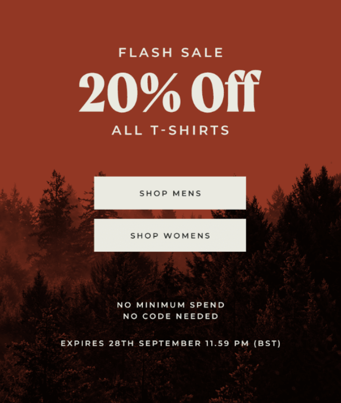 Advertising marketing example: flash sale from P&Co