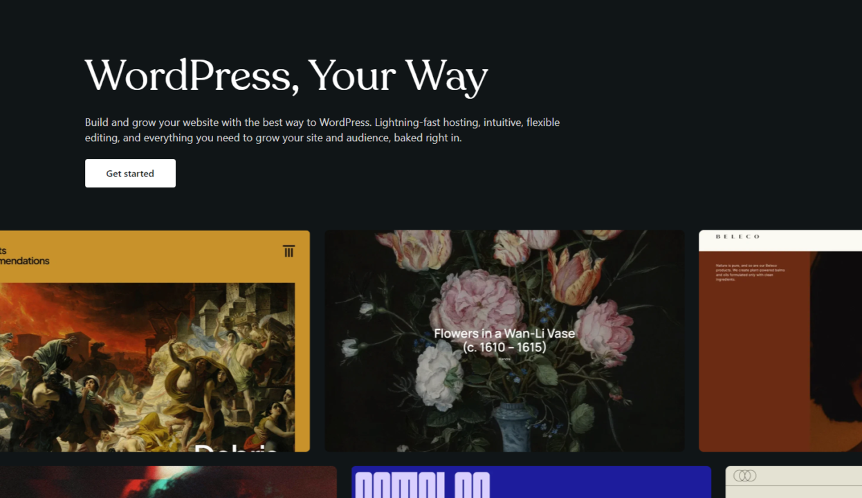 Email marketing platforms: WordPress