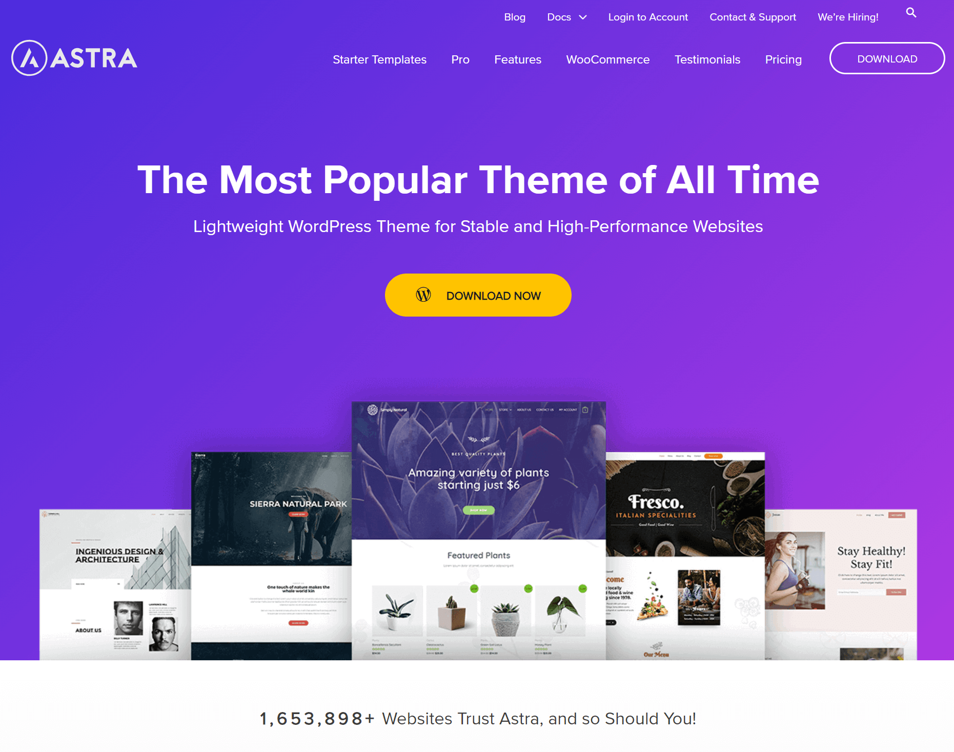 best WooCommerce themes: astra