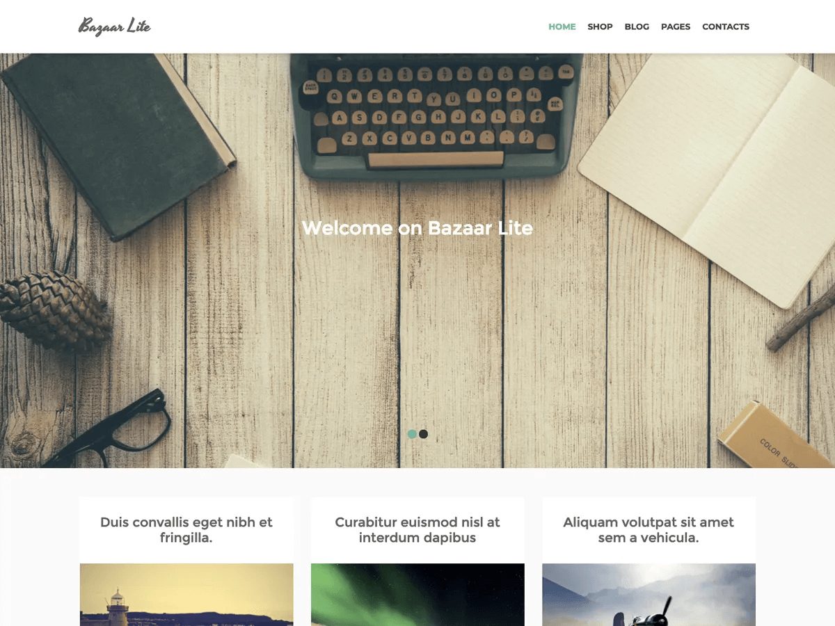 best WooCommerce themes: bazaar lite