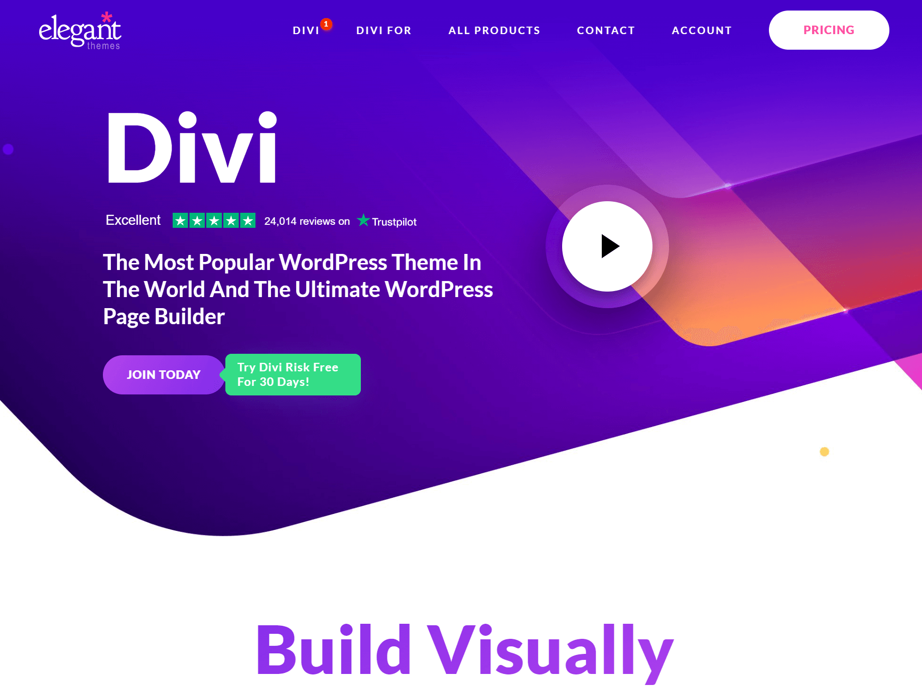 best WooCommerce themes: divi