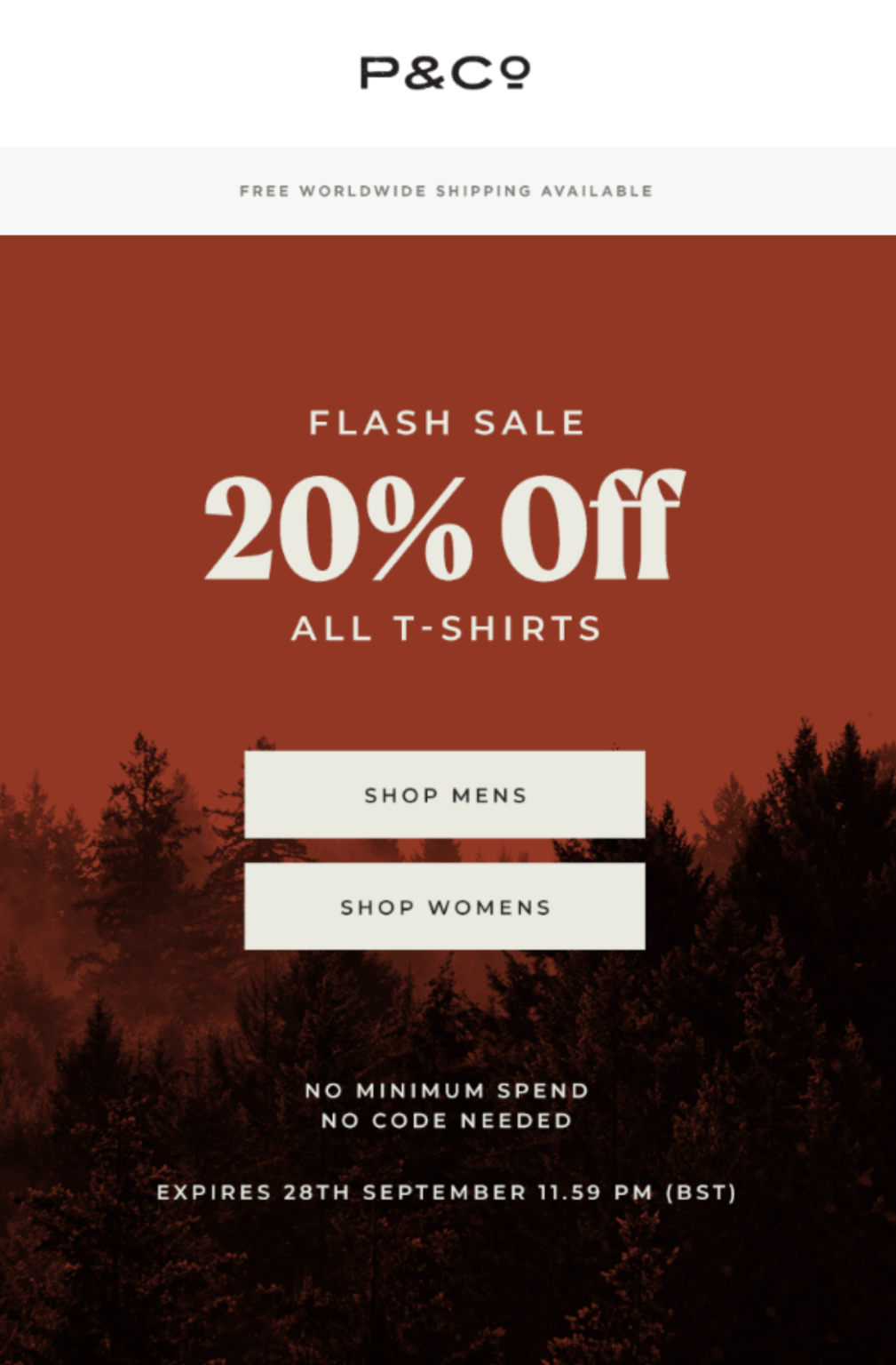 Top Sales Event Ideas & Strategies to Maximize Revenue