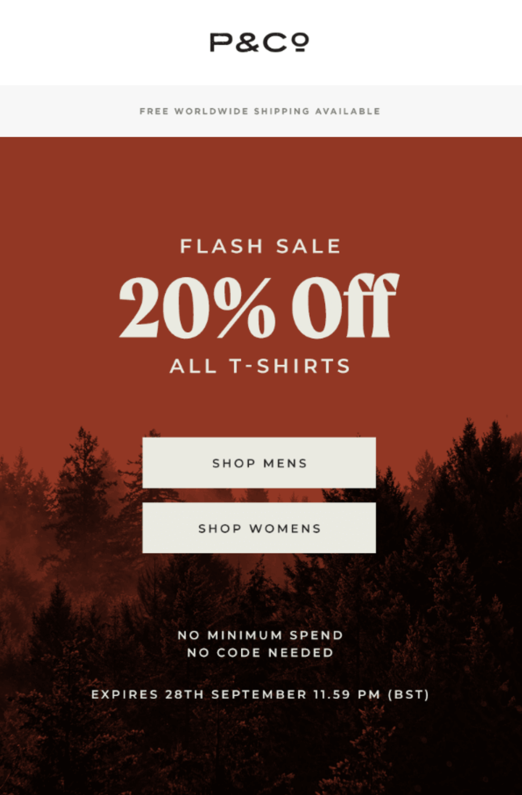 flash sale