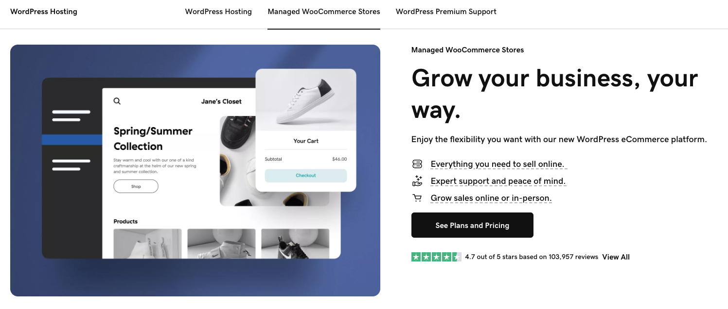 godaddy hosting