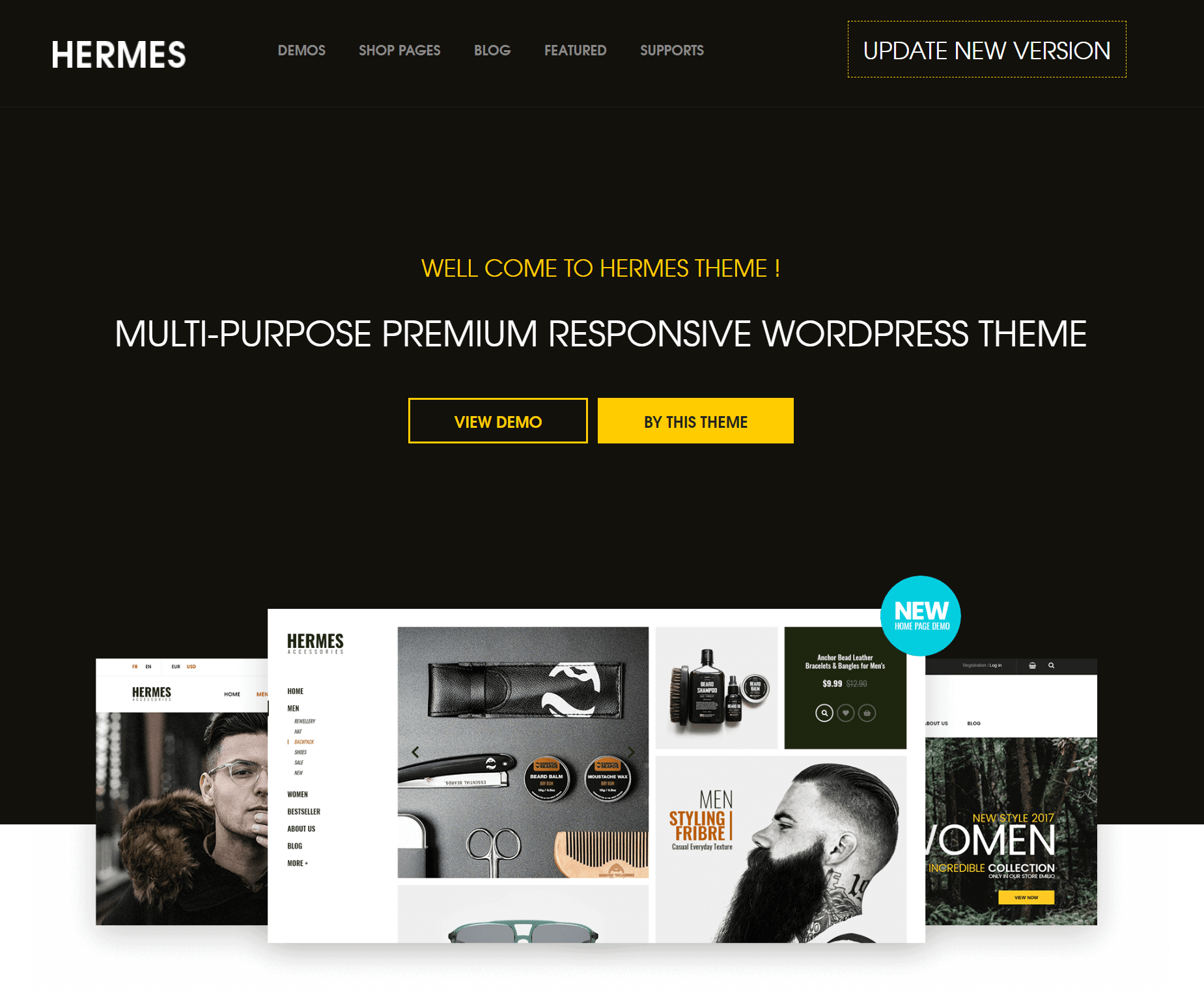 best WooCommerce themes: hermes