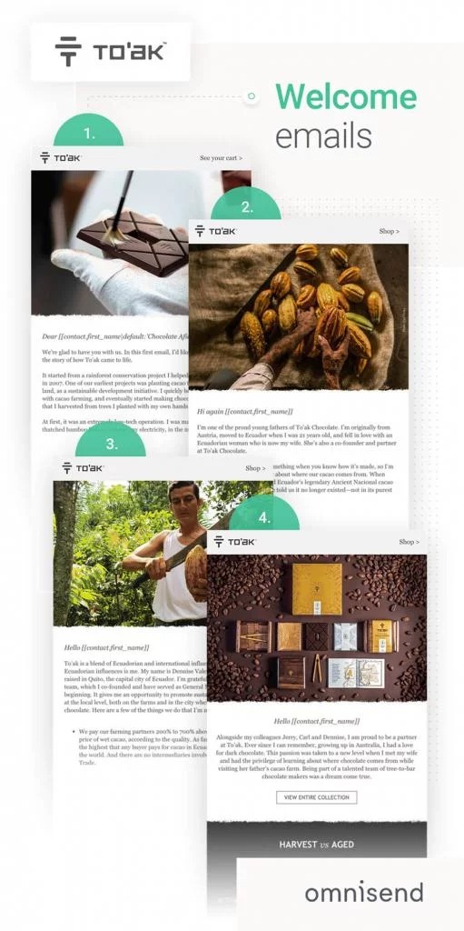 Case studies of successful email marketing: To'ak Chocolate