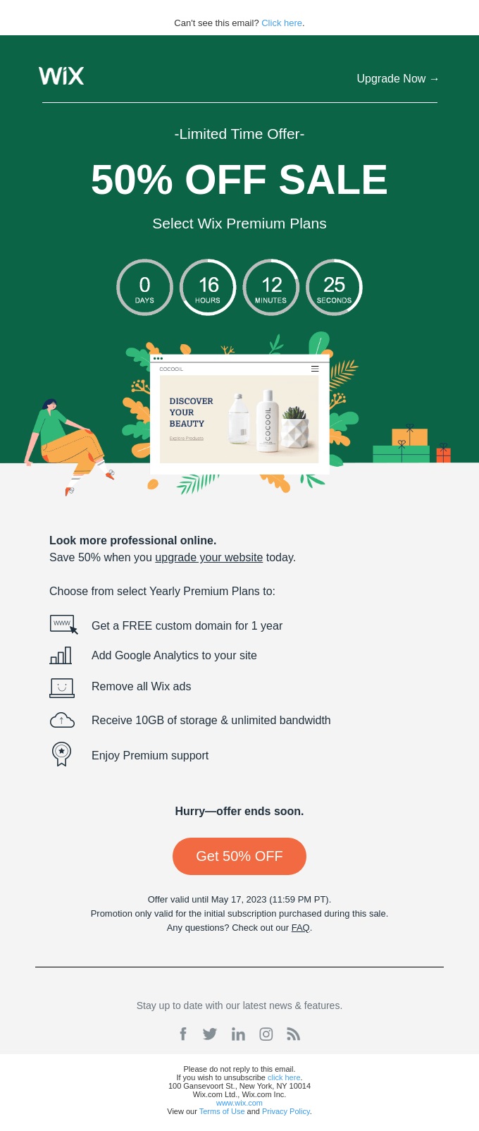 Types of email marketing campaigns: promotional email from wix