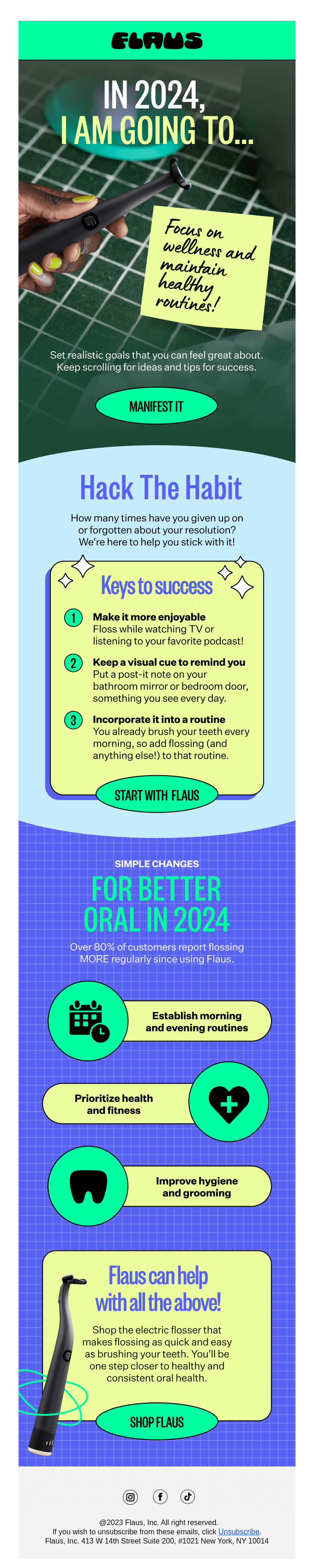 january newsletter ideas: flaus new year resolutions email