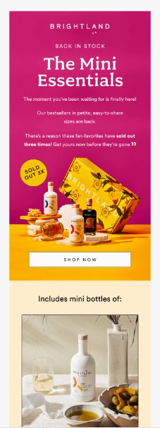 back-in-stock email by brightland