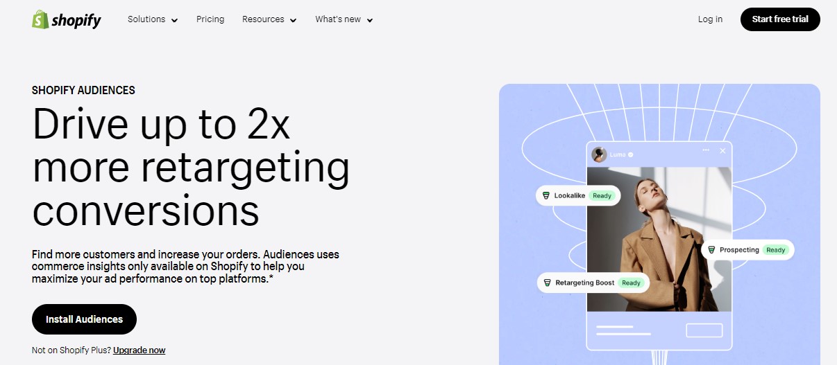 Shopify Audiences review