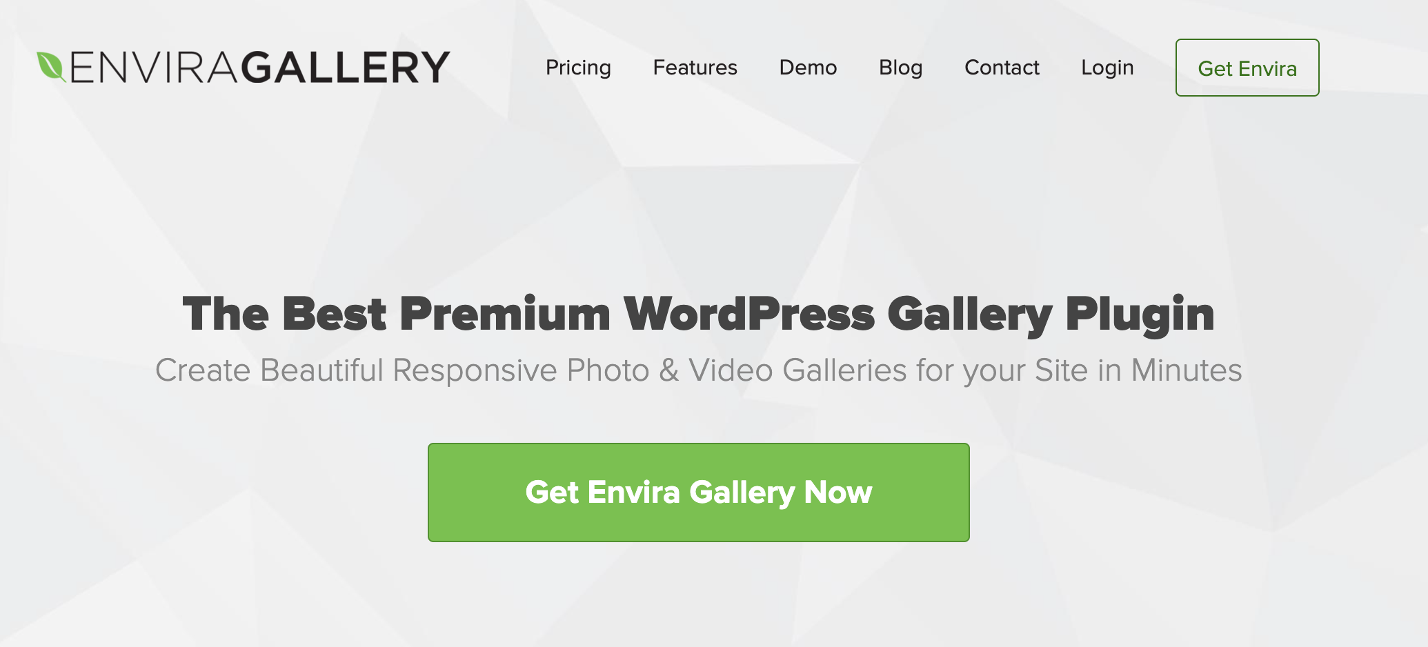 Envira Gallery