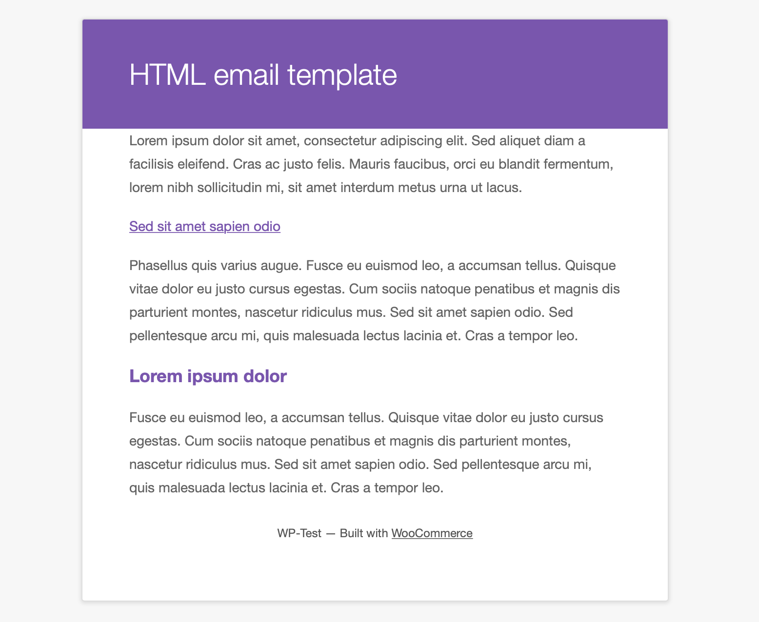How to test woocommerce emails: template preview