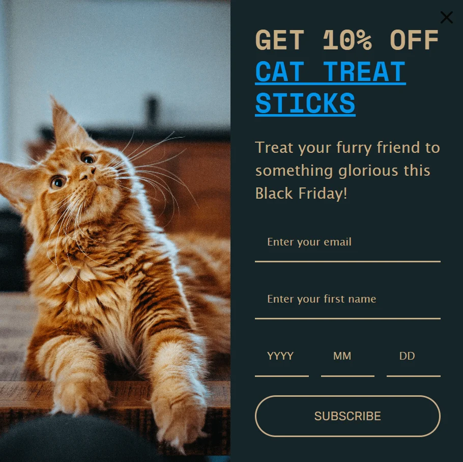 WooCommerce store Cyber Monday: A fluffy orange cat lies on a table. Beside it, text offers 10% off cat treat sticks for Black Friday, with fields to enter email, first name, and birth date to subscribe.