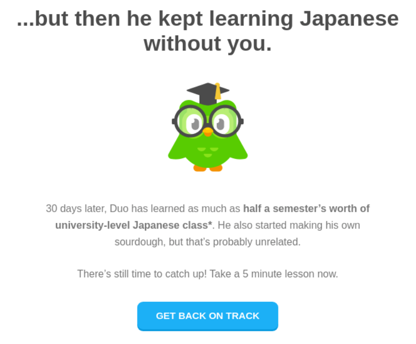 duolingo email