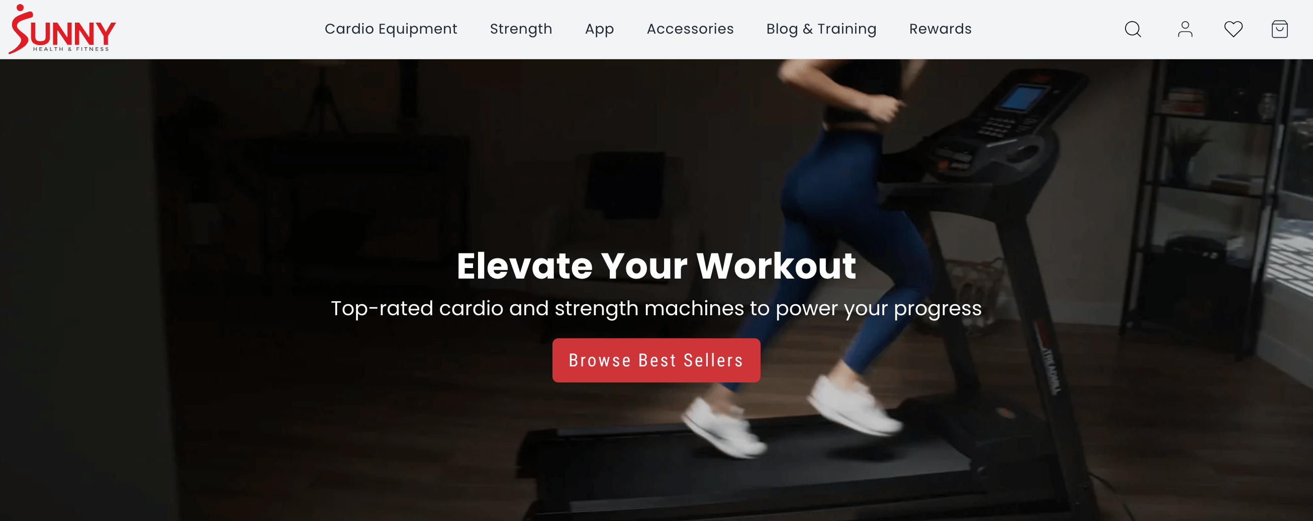 what to sell on shopify: fitness equipment