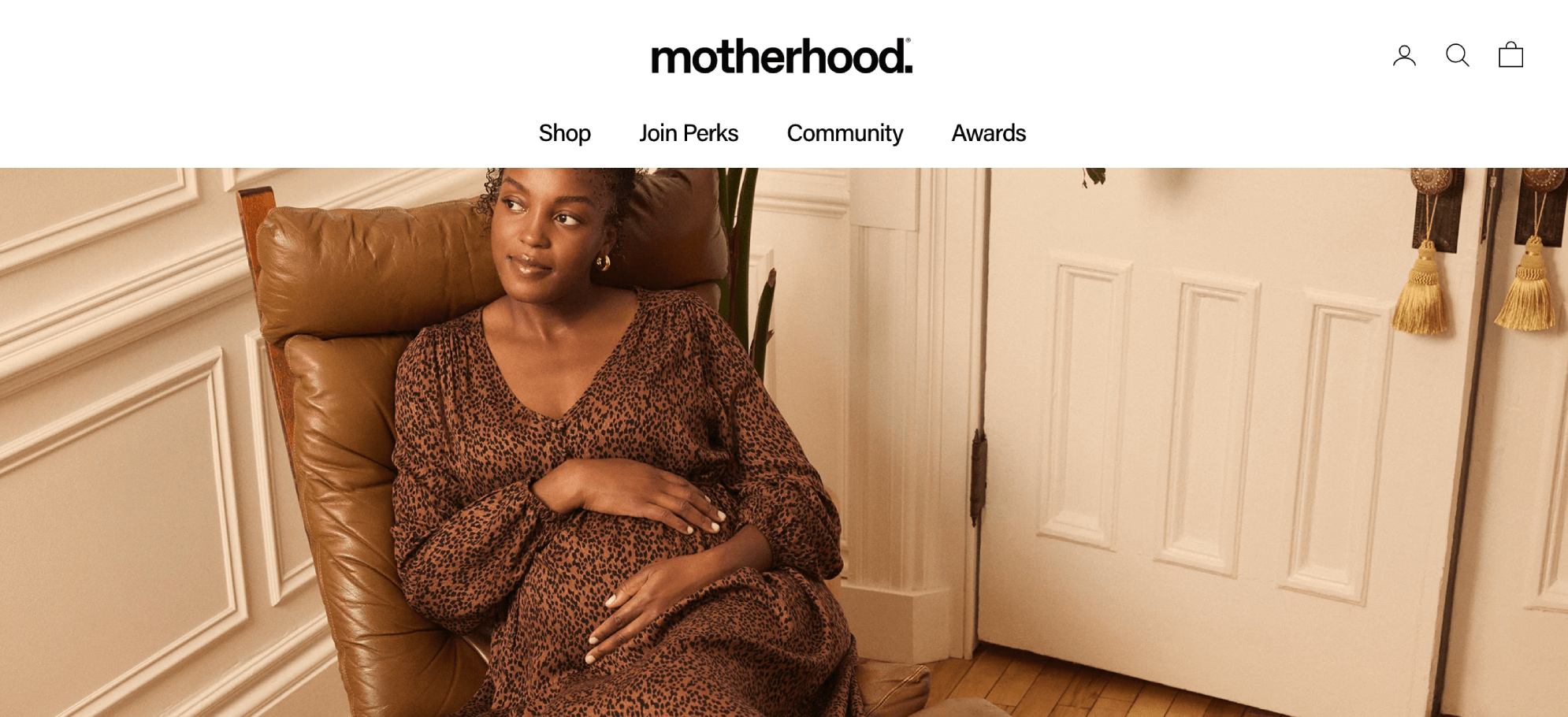 what to sell on shopify: niche apparel