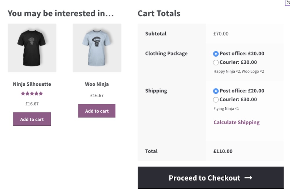 WooCommerce Advanced Shipping Packages