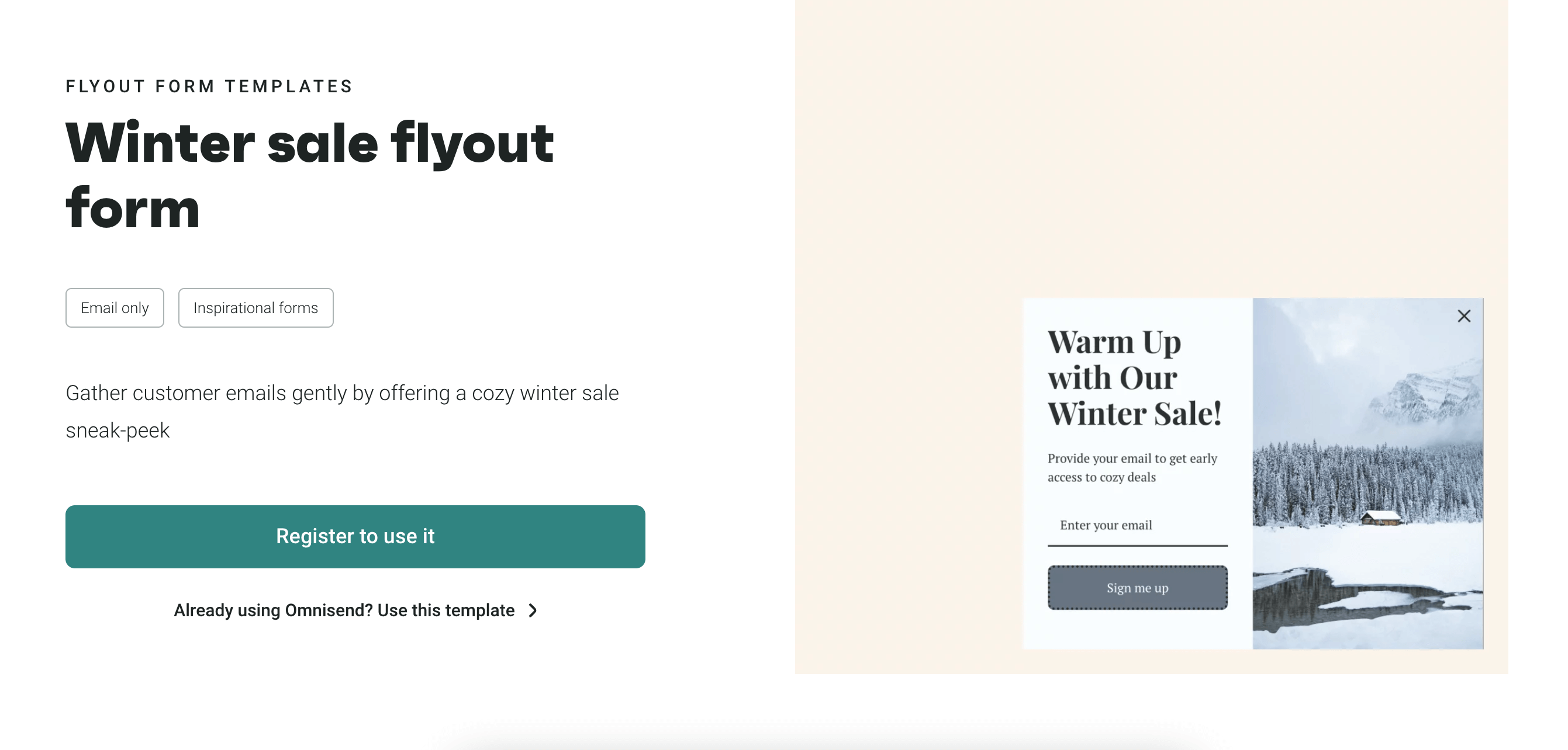 winter sale flyout template