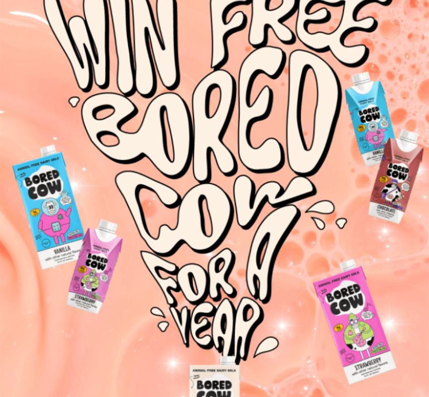 bored cow giveaway email