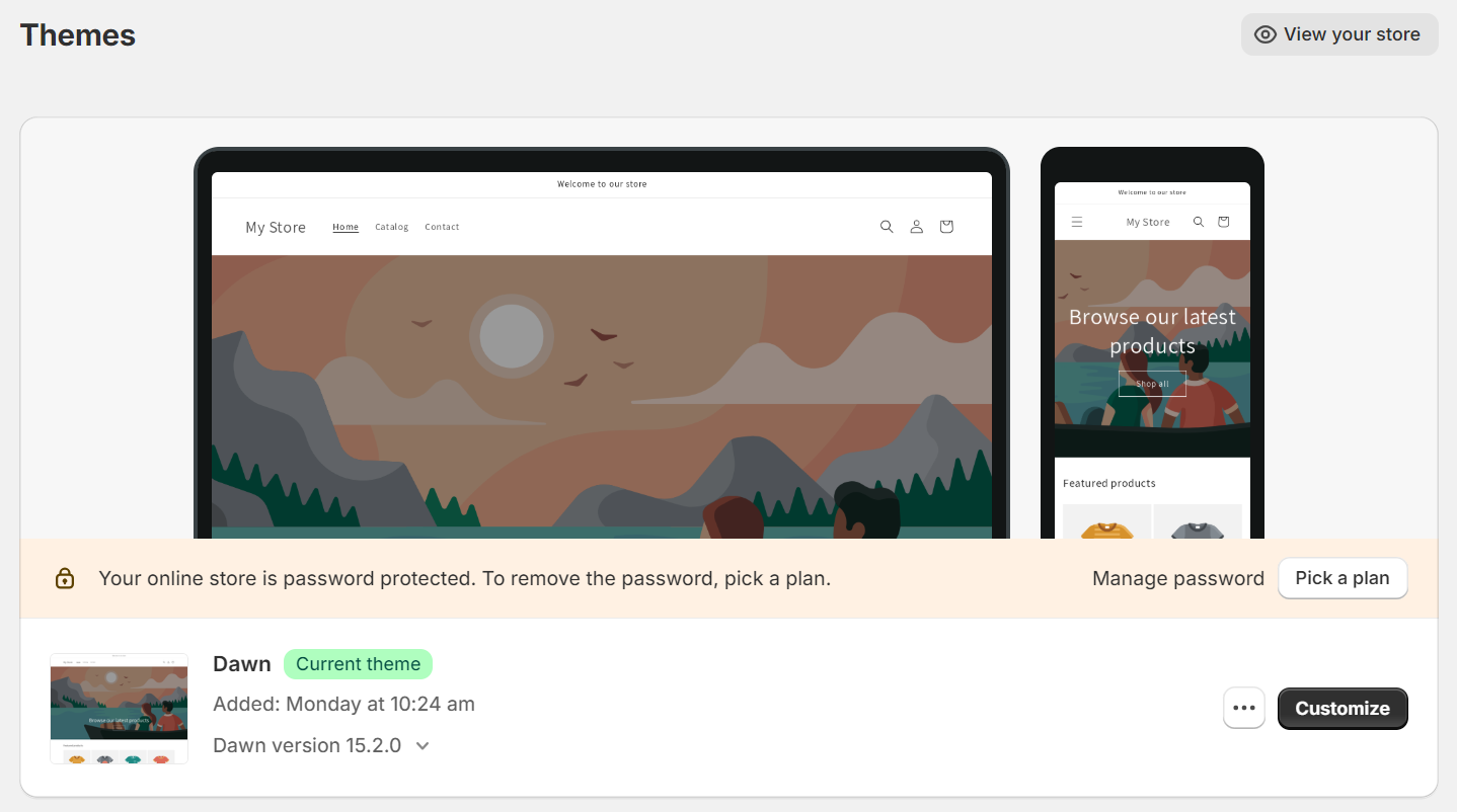 customizing theme settings