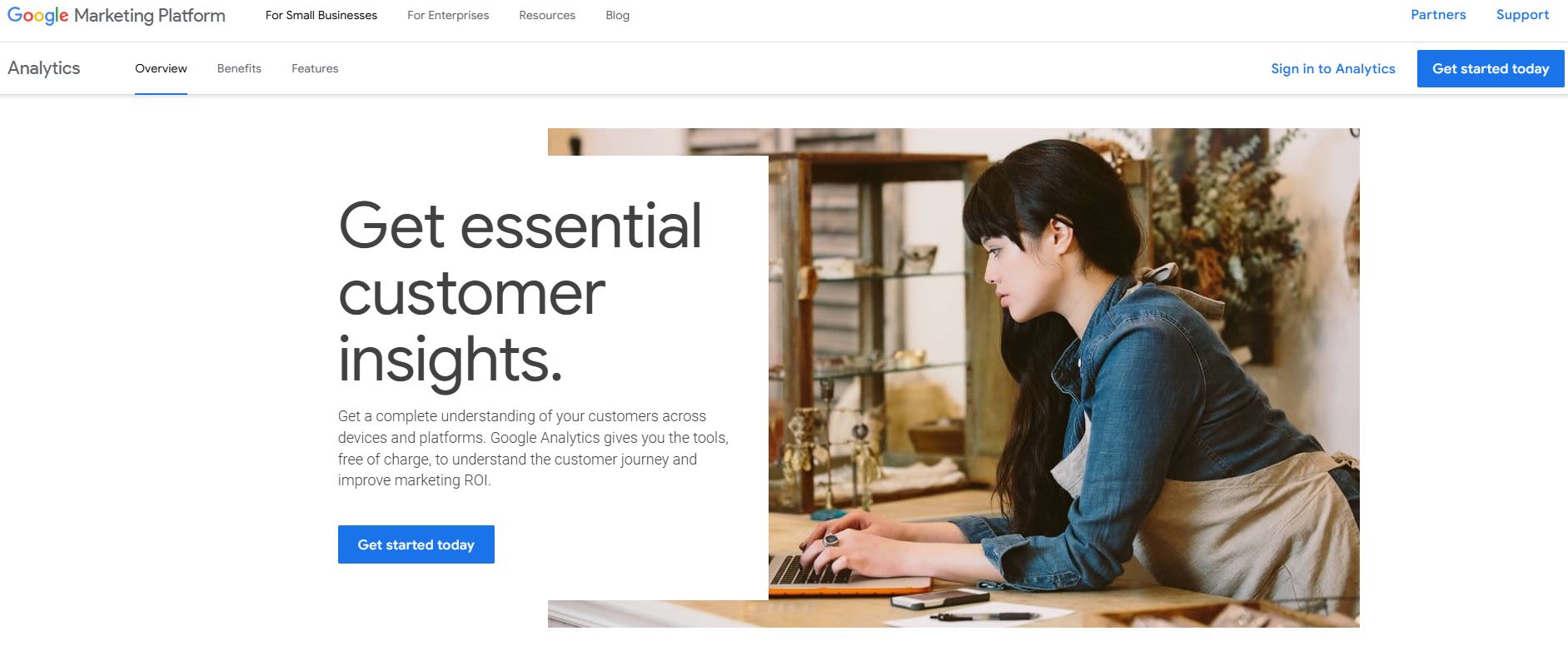 google insights