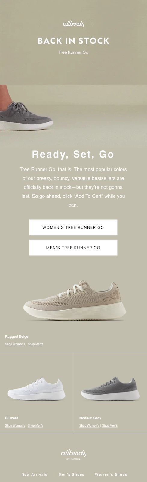 Shopify post-purchase email example: allbirds