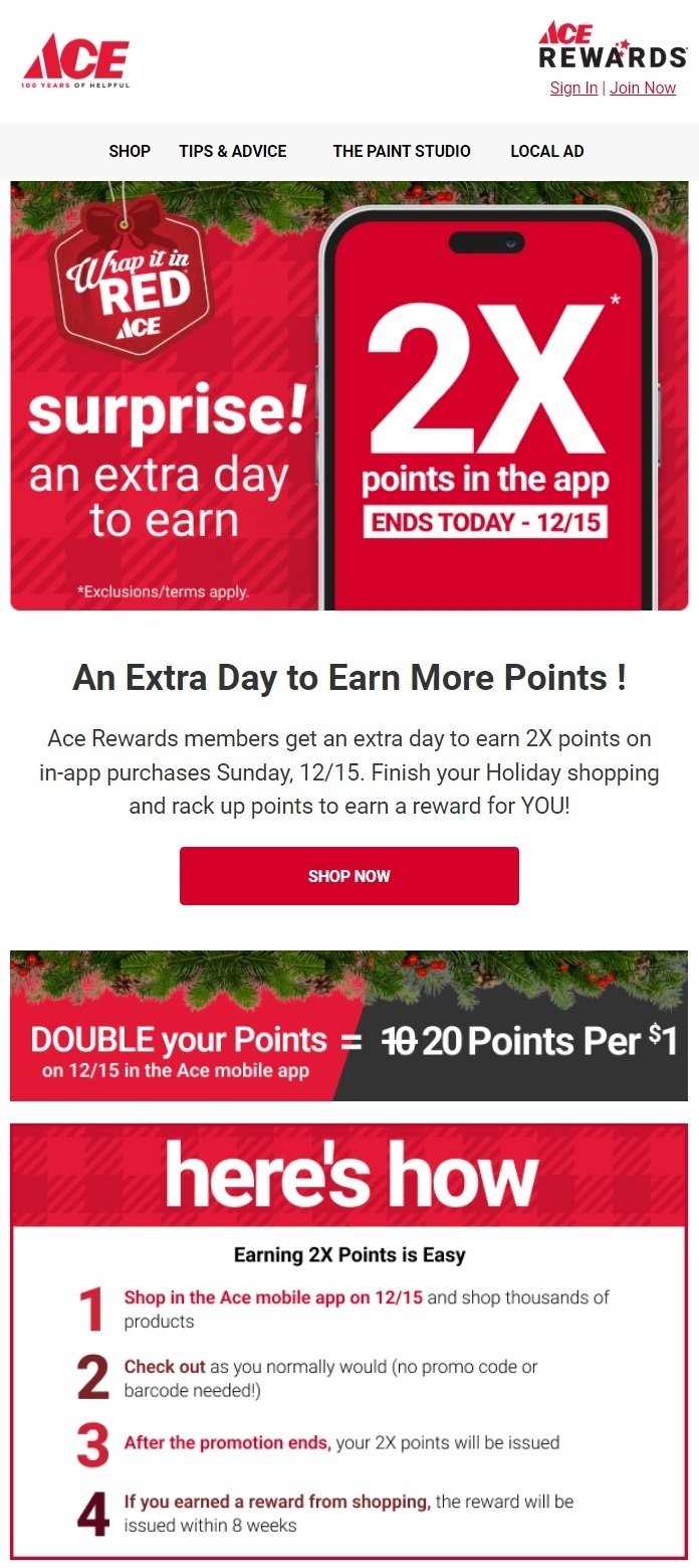 Franchise email marketing example from Ace hardware