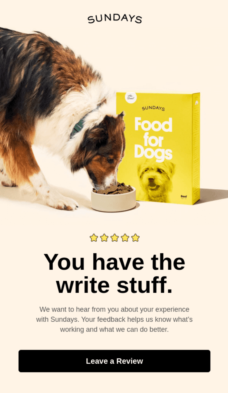 review request email