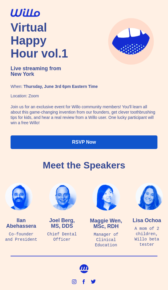 email marketing campaign example: Willo
