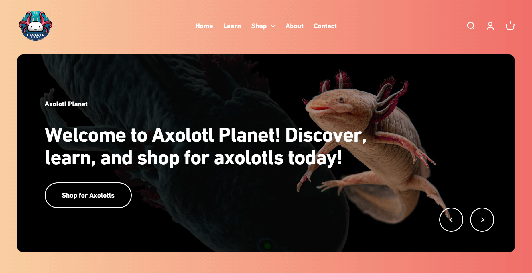 Axolotl Planet