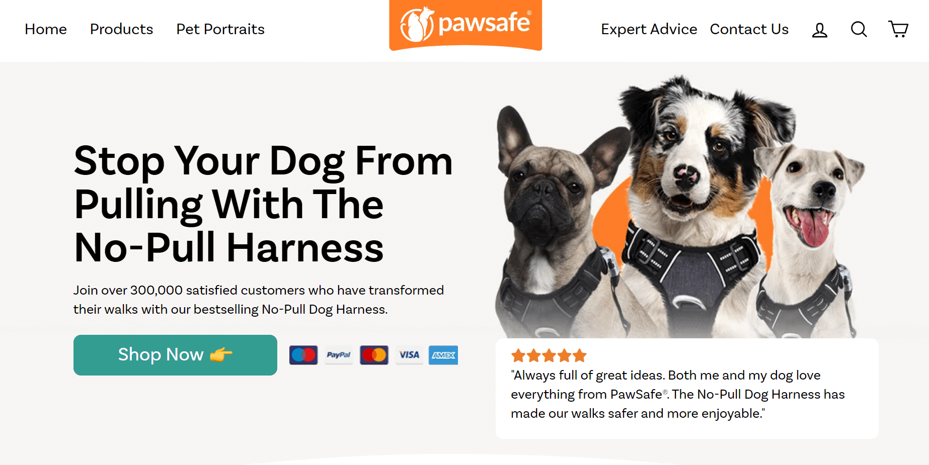 Pawsafe