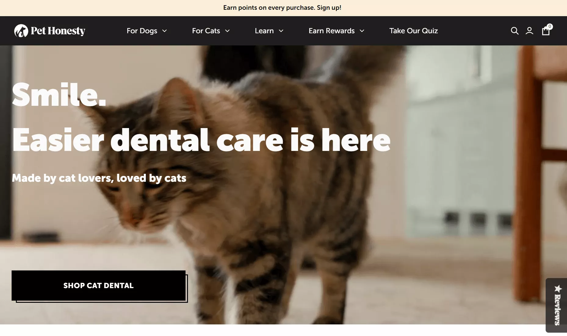 Pet Honesty