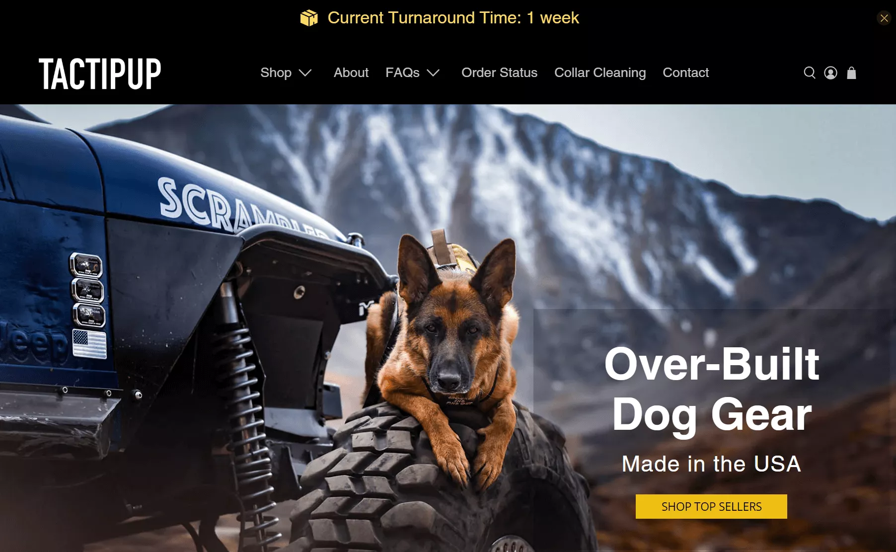 Tactipup