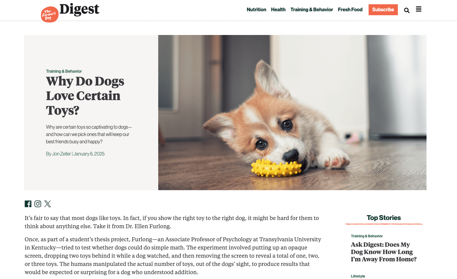 Article from The Farmer's Dog's blog
