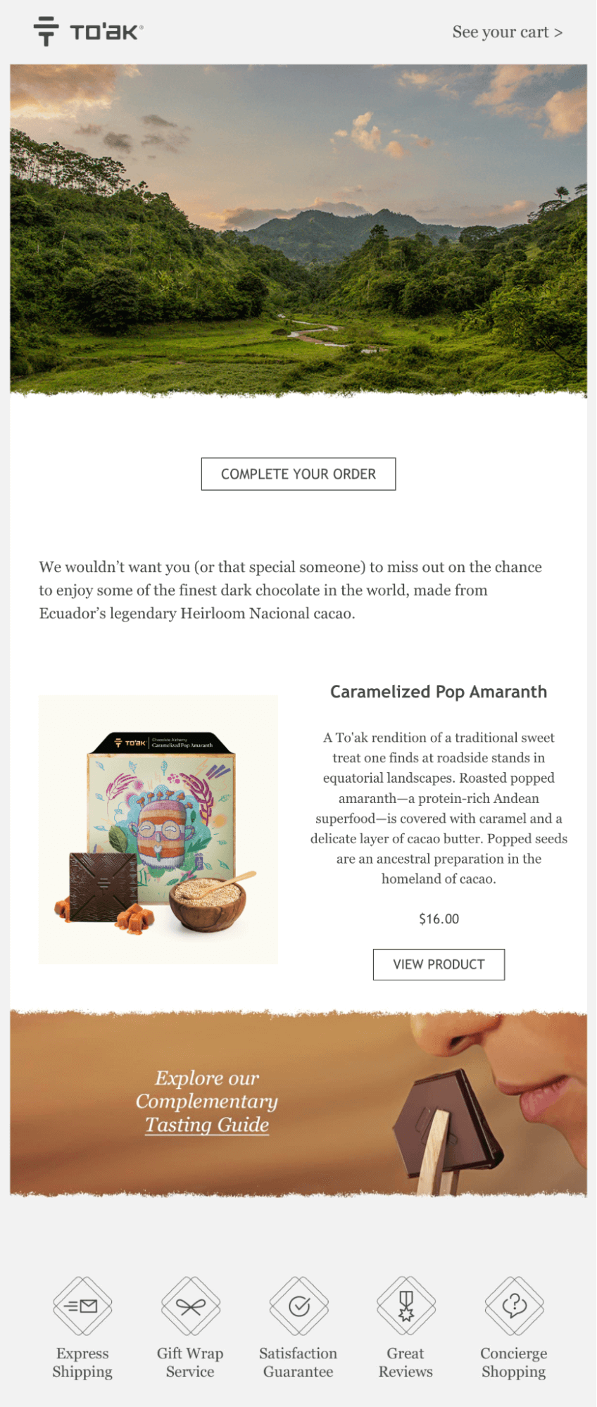 Abandoned cart email example from To'ak Chocolate