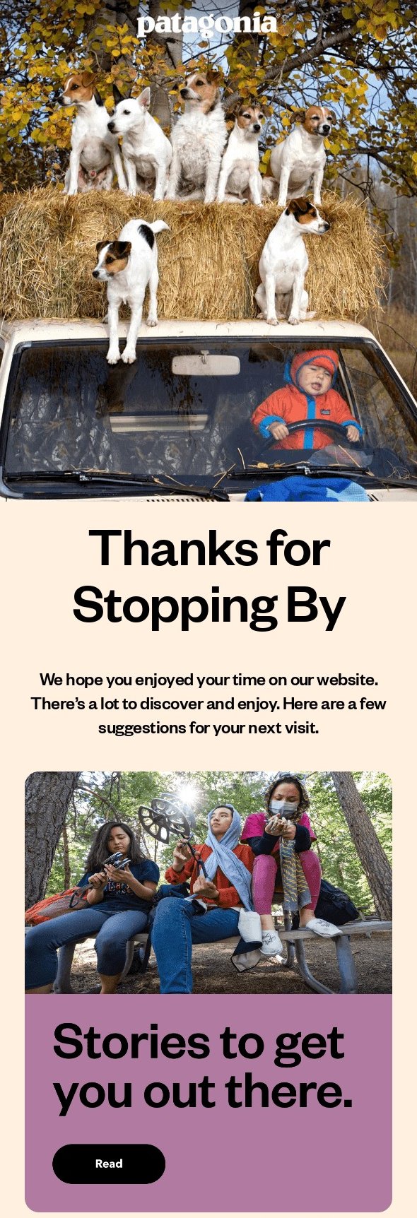 Patagonia abandoned cart email