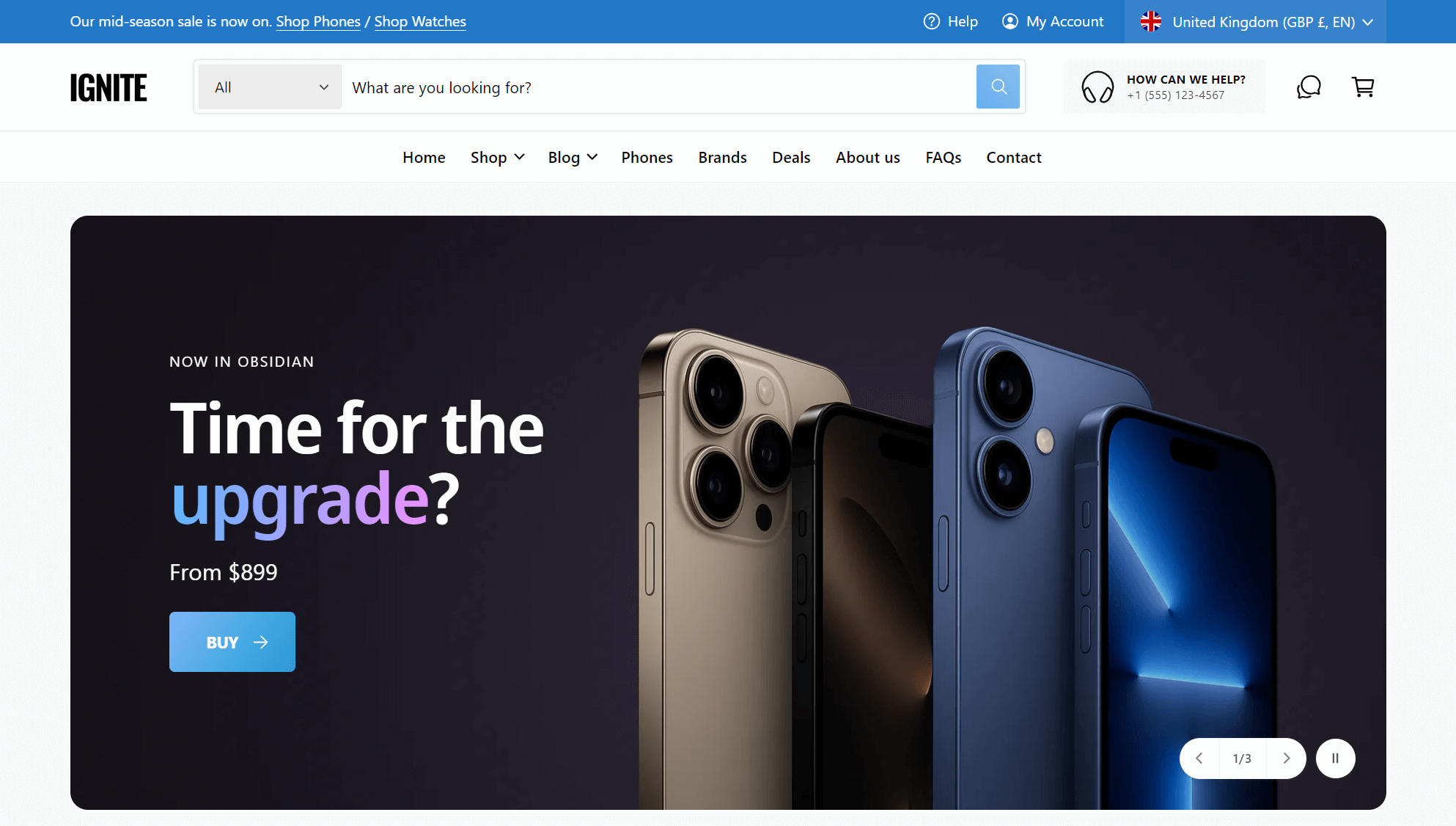 Ignite theme demo page