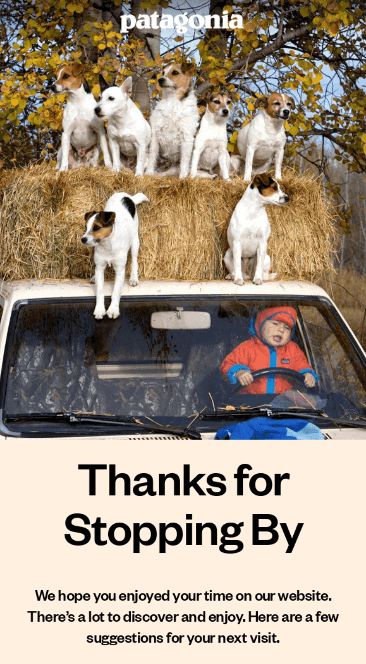 Patagonia's thank you for stopping by email example