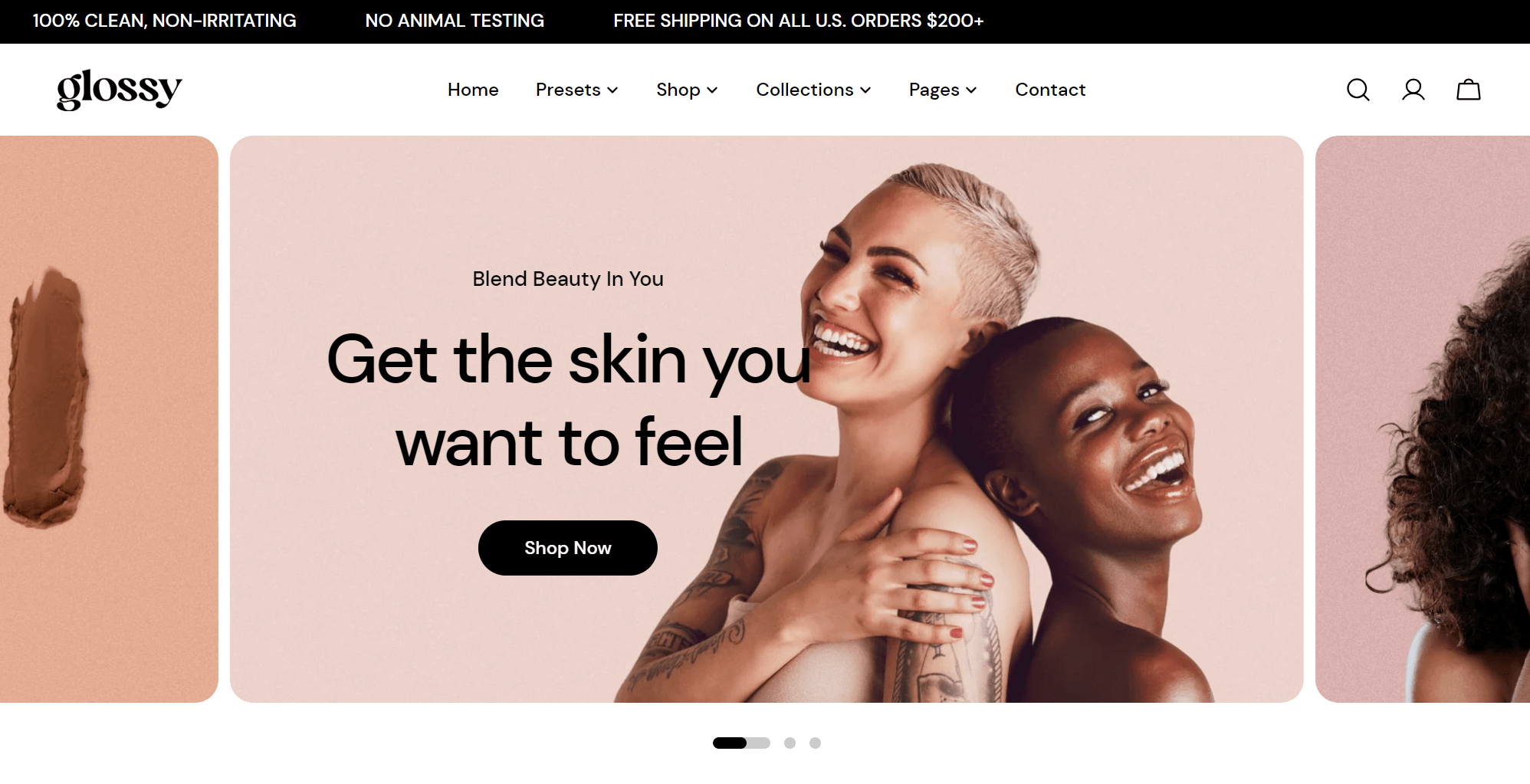 Sleek theme demo page