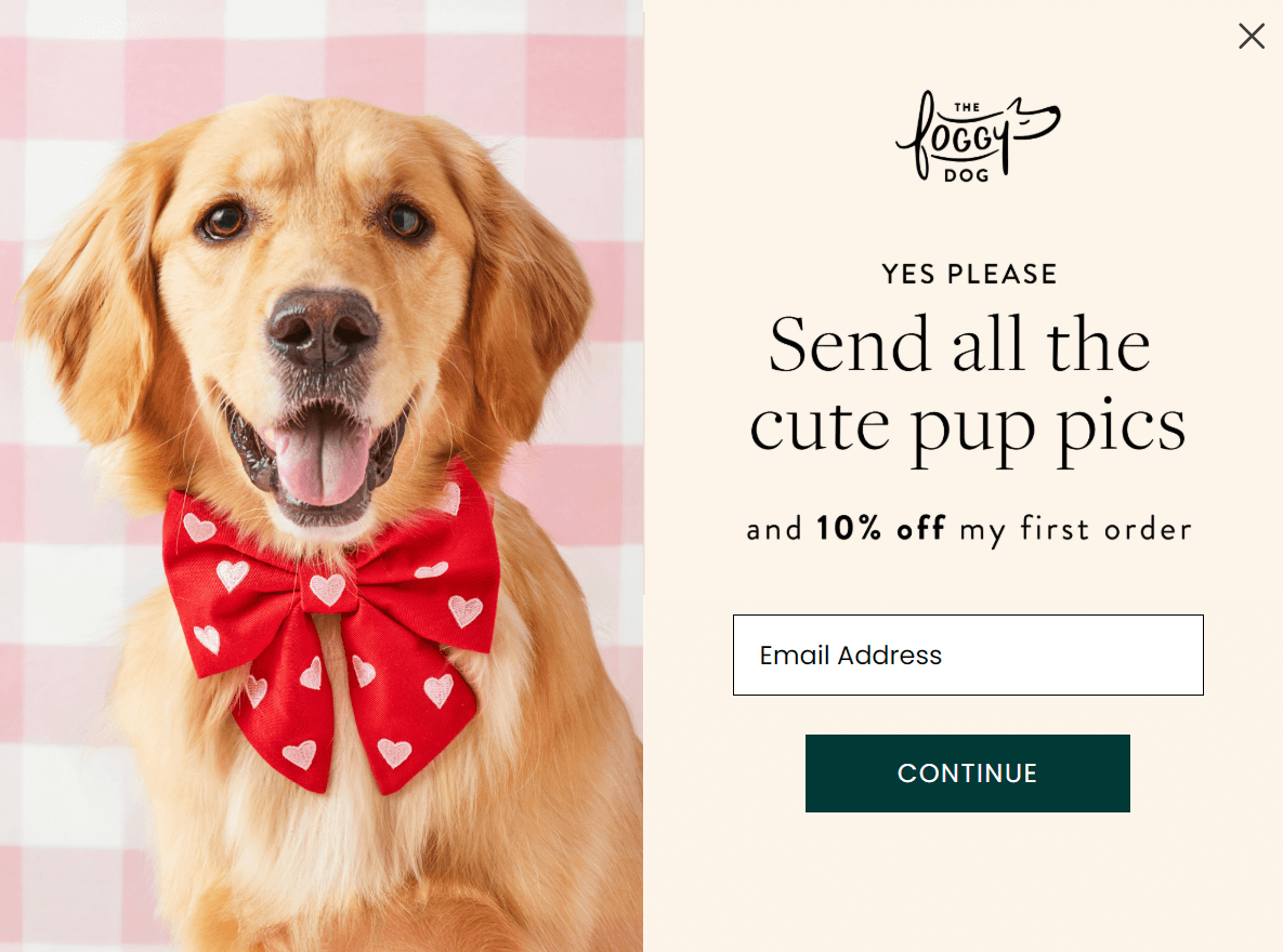 The Foggy Dog delayed popup form