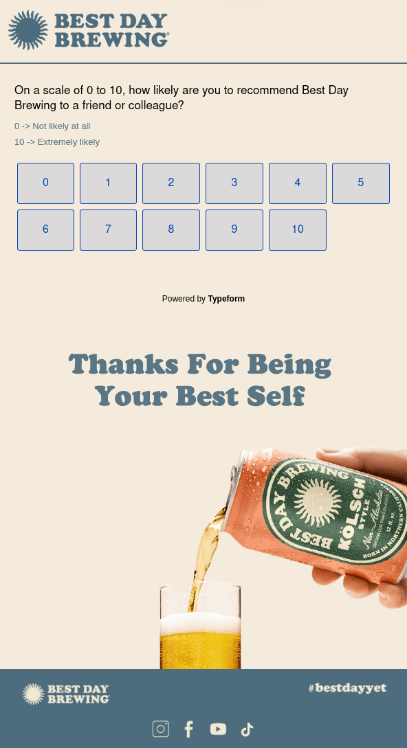 Best Day Brewing survey reminder email