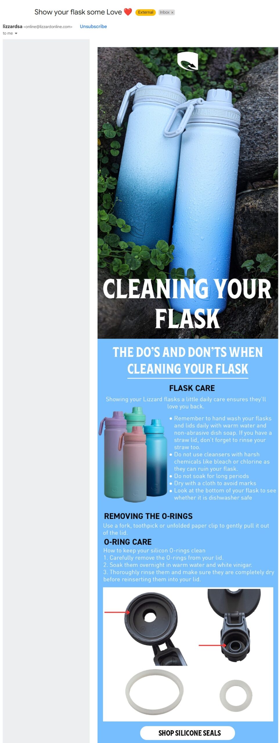 Email segmentation example | Lizzard's educational email