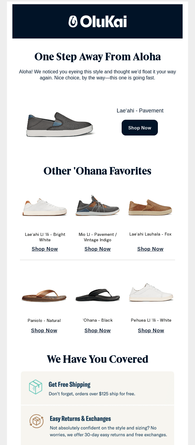 Email segmentation example | OluKai’s personalized product reminder email