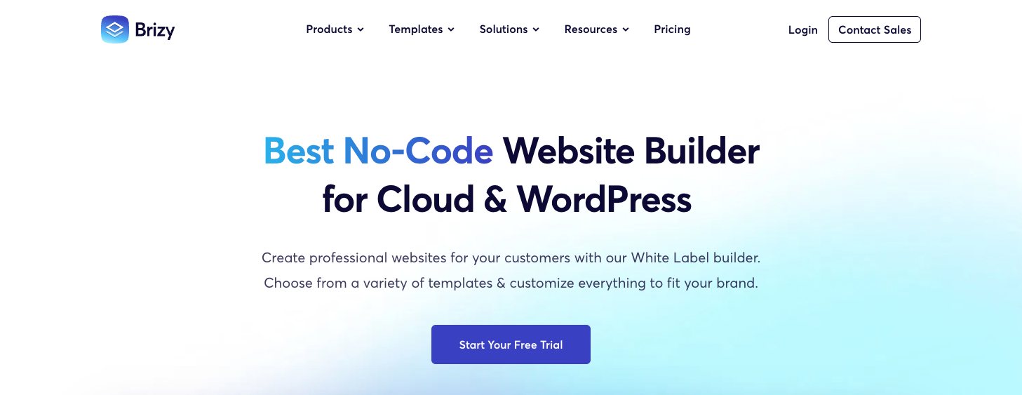 Brizy homepage