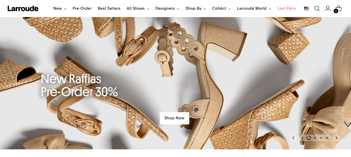 Larroude homepage