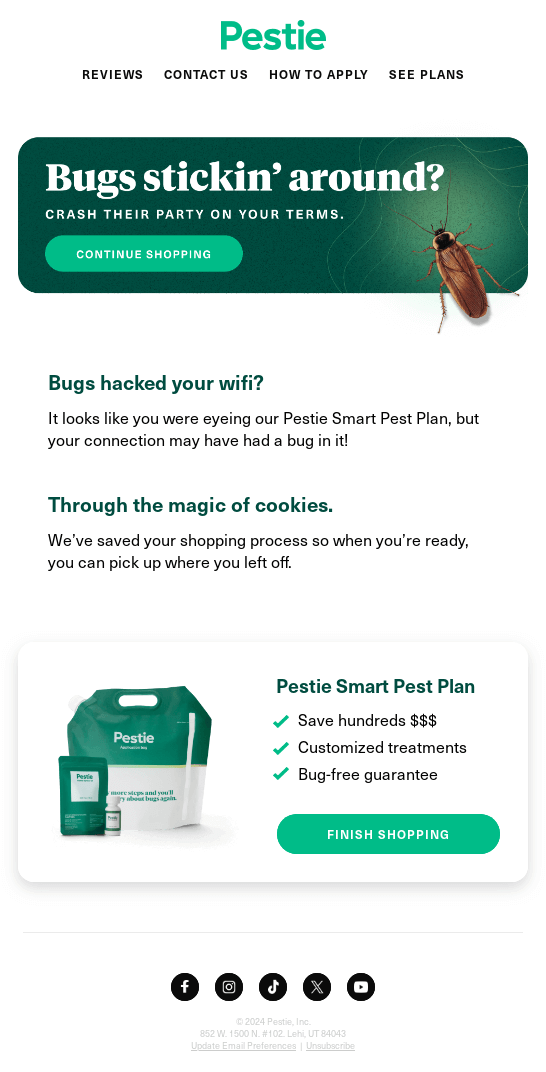 Abandoned cart email example from Pestie