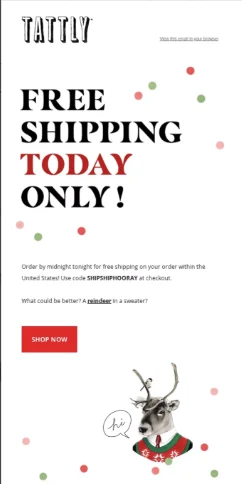 12 Creative Black Friday Coupon Code Ideas for 2026