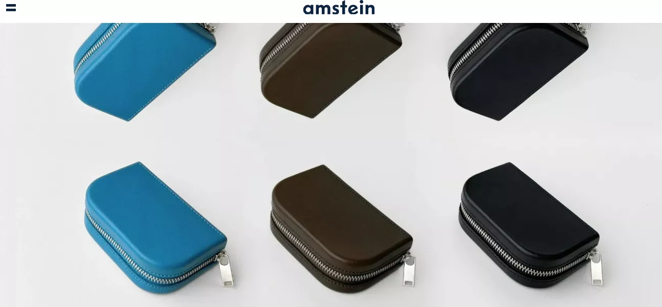 Website example by Amstein